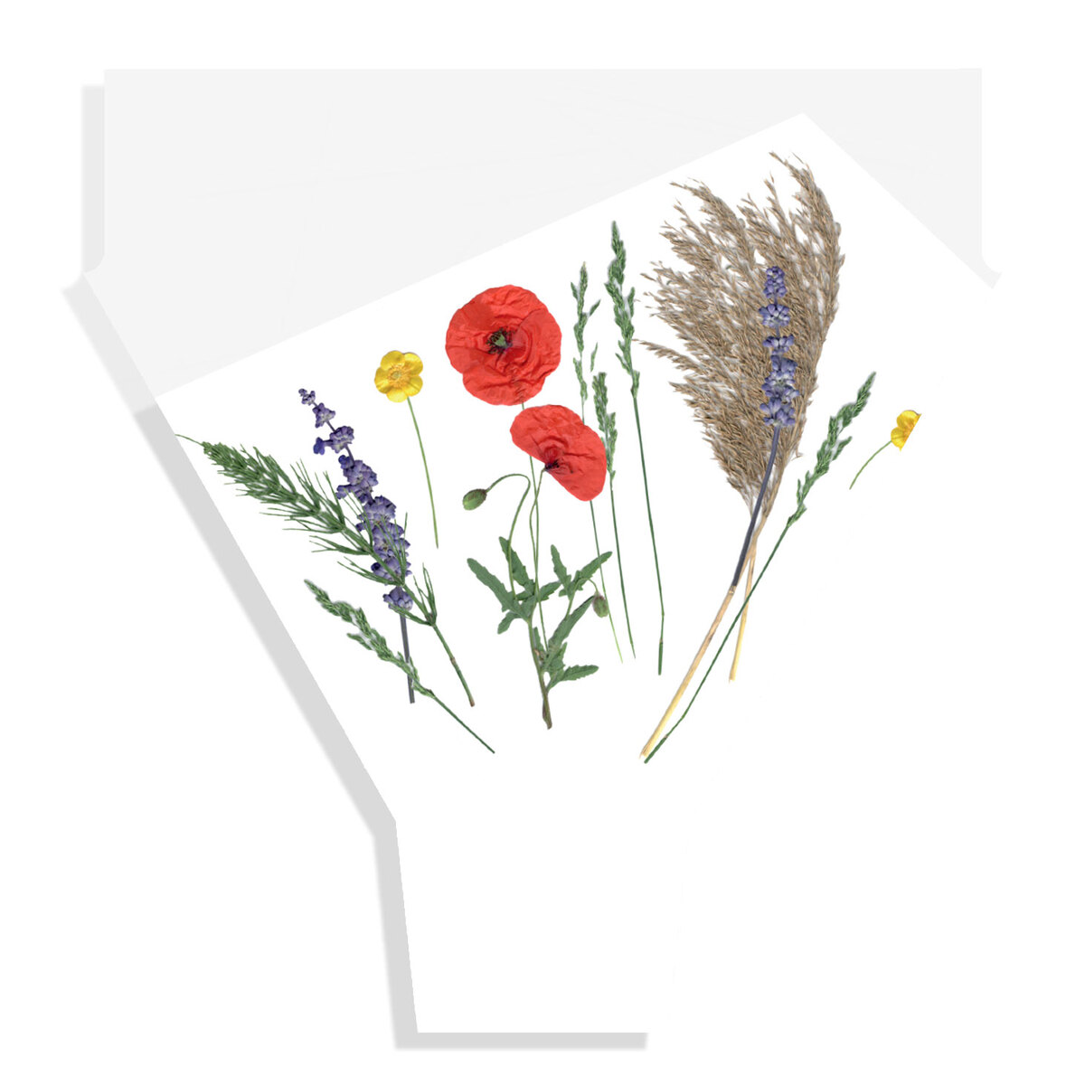 Item image full size