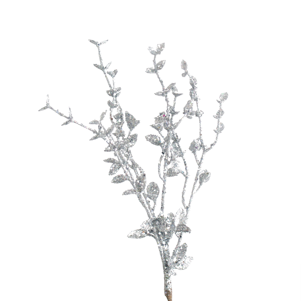 Item image full size