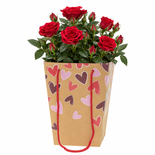 Bouquet image