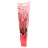 Bouquet image