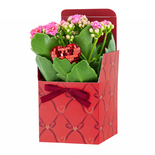 Bouquet image