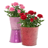 Bouquet image