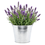 Bouquet image