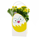 Bouquet image