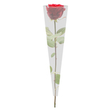 Bouquet image