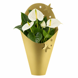 Bouquet image