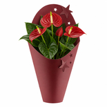 Bouquet image