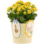 Bouquet image
