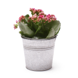 Bouquet image