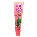 Bouquet image