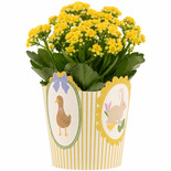 Bouquet image