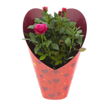 Bouquet image