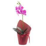 Bouquet image