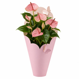 Bouquet image