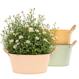Bouquet image