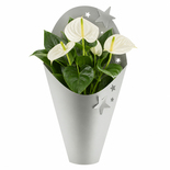 Bouquet image