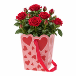 Bouquet image
