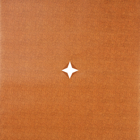 Non Woven Burlap Look 20x20in orange + x