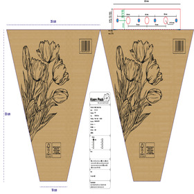 Sleeve Outdoor Tulips 38x35x10cm FSC* + Terra