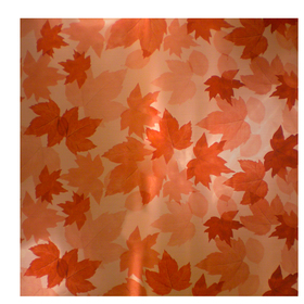 Fall Leaves 24x24in orange