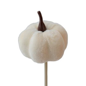 Velvet Pumpkin 5.5cm on 50cm stick offwhite