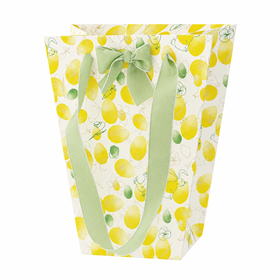 Carrybag Easter Blossom 17/13x11x20cm FSC* green/yellow
