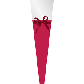 Housse Single Rose Cherished Moments 70% PCR 64x14x3cm rouge
