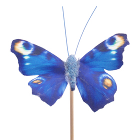 Schmetterling Auralia 8cm auf 50cm Stick blau