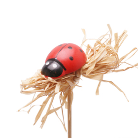 Ladybird Raf 3cm on 50cm stick FSC* red