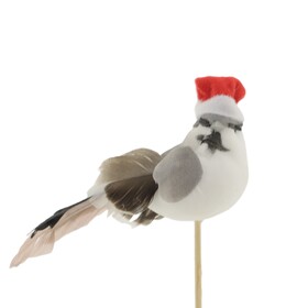 Vogel Caspar 6cm auf 50cm Stick
