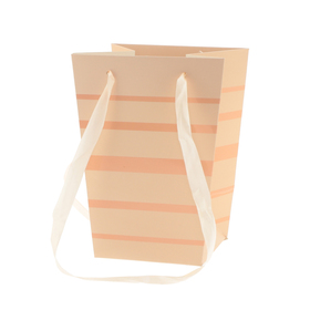 Carrybag Ellen 6/6x4/4x8in salmon