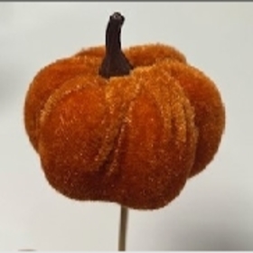 Velvet Pumpkin 5.5cm on 50cm stick orange