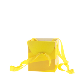 Carrybag Muse 16x16x18cm FSC* yellow