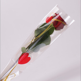 Sleeve Single Rose True Love 54x12x3cm