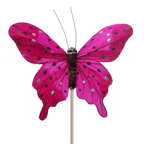 Schmetterling Tropicana 8cm auf 50cm Stick cerise