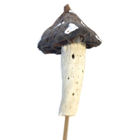 Natural mushroom 7-10cm on 50cm stick natural