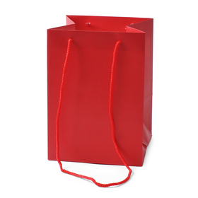 Carrybag Basic 18x18x25cm rood