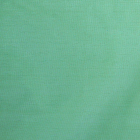 Sheet Organza 40x40 moss green