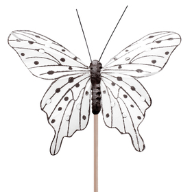 Schmetterling Tropicana 8cm auf 50cm Stick weiß