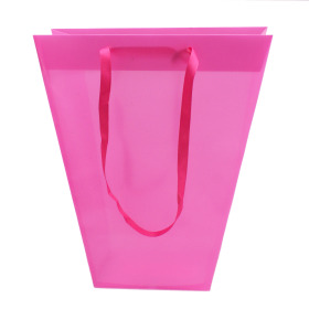 Carrybag Uni 24/11x12/11x26cm pink
