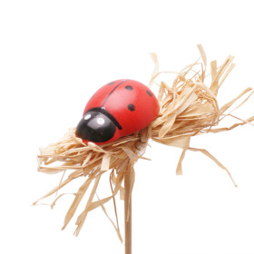 Ladybug 1.5in with raffia on 20in stick red