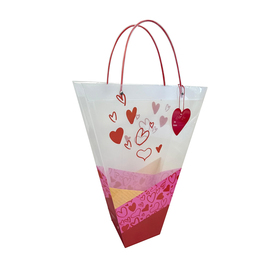 Carrybag Crazy Love 18x14x5in