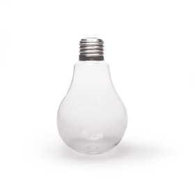 Glass light Bulb Vase 5 in