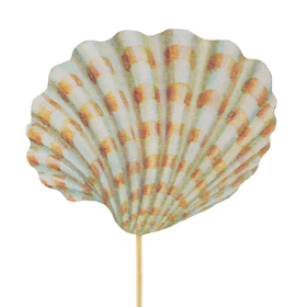 Cockle shell 7.5cm on 50cm stick FSC*