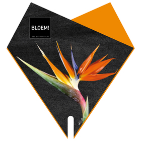 Sleeve Doublé BLOEM! 53x44cm FSC Mix Strelitzia