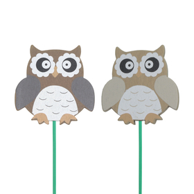 Owl 6cm on 50cm stick assorted