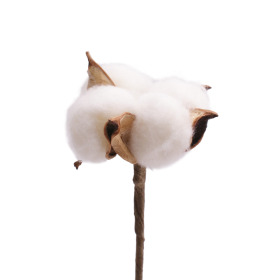 Cotton 4cm on 50cm stick
