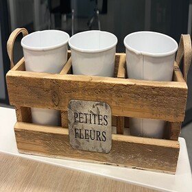 Wooden box FSC* with zinc pot white 3x