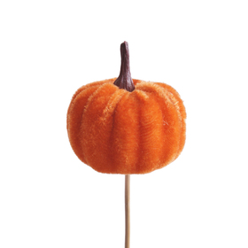 Velvet Pumpkin 5x7.5cm on 43cm stick orange