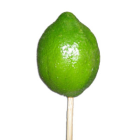 Lime Fruit on 50cm stick green